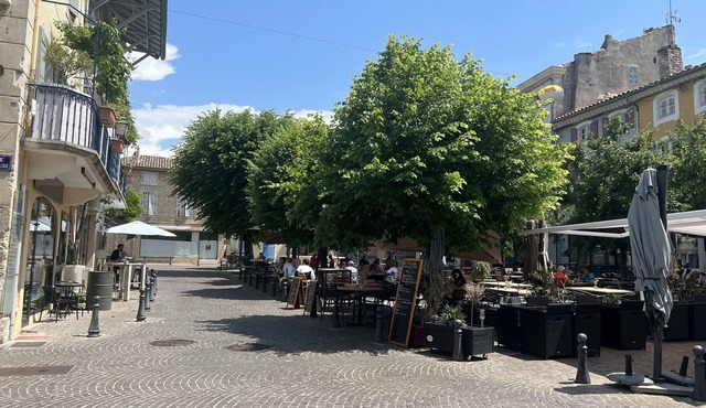 Beautiful 17th century mas near one of the most beautiful villages in France