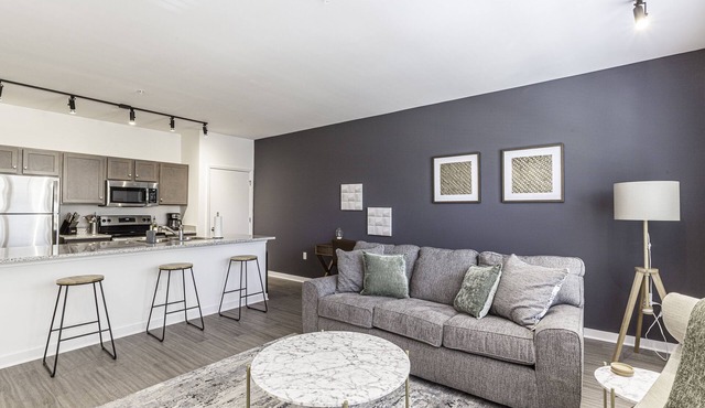 Beautiful 1BR in Midtown and the Medical District