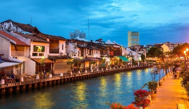 Beautiful 1BR Suite Perfect View to the Garden