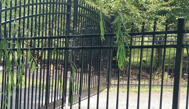 Beautiful 1BR Walkout Fenced & Gated Villa, Onsite parking, Pet friendly-2+acres