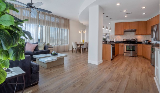 Beautiful 2/2 PENTHOUSE in Downtown Orlando