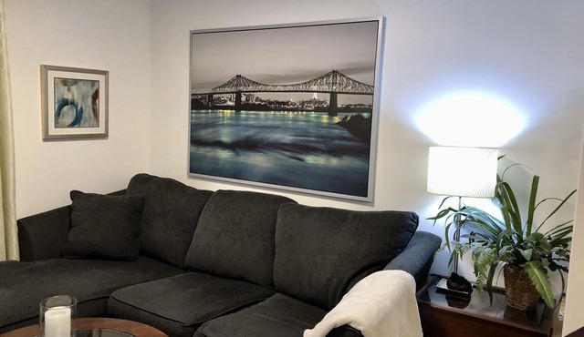 Beautiful 2 Bedroom Lower Level Apt in Roncesvalles/High Park