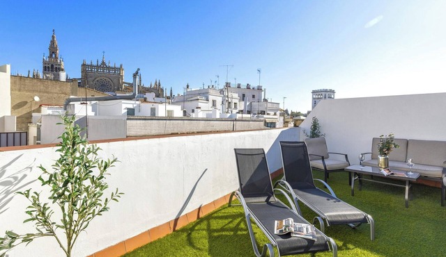 Beautiful 2 bedrooms apartment with private terrace near the Cathedral. Arfe Terrace