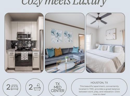Beautiful 2 BR 2 BA, NRG, Medical Center, Downtown, Free WiFi, Pool