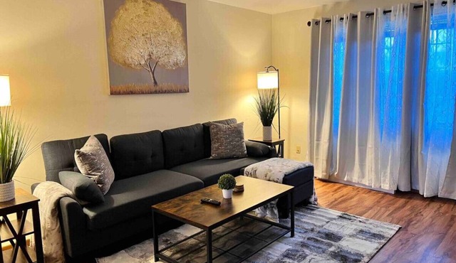 Beautiful 2BR Apartment. Black-out Curtains