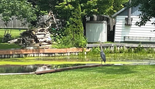 Beautiful 2BR Waterfront Cottage! #3nn