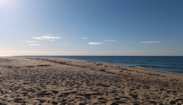 Beautiful 3-bedroom cottage in charming Nantucket summer week of 6/19 - 6/26