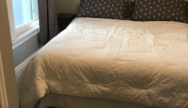 Beautiful 3 bedroom home in city center