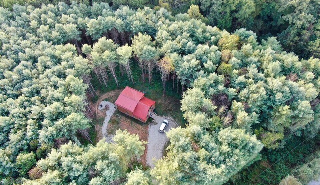 Beautiful 3 Bedroom cabin in the Pines