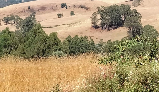 Beautiful 3 bedroom farmhouse in Narracan