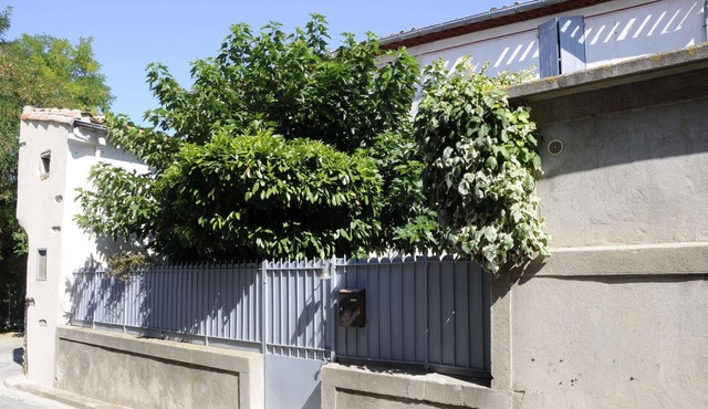 Beautiful 3 Bedroom House in Languedoc