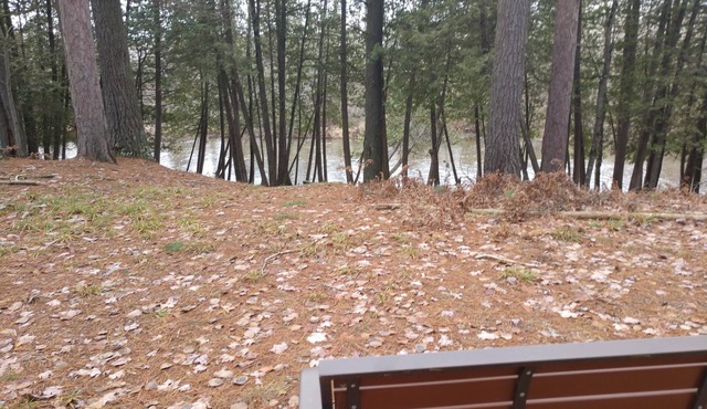 Beautiful 3 bedroom home on Rifle River
