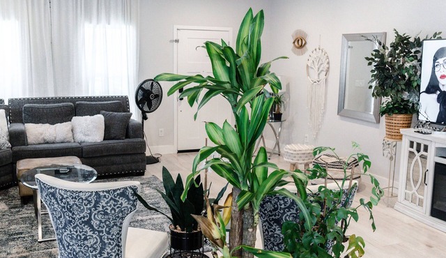 Beautiful 3BR/2B Midtown Sac, Airport, Golden1 Center