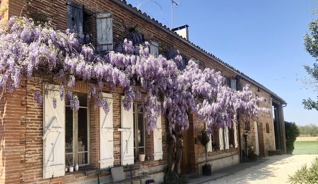 Beautiful 6 Bedroom Farm House in Tarn et Garonne