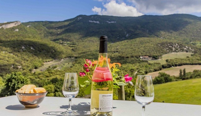 Beautiful apartment in villa with WIFI, TV, patio, pets allowed, panoramic view and parking