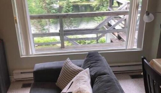 Beautiful Algonquin Lakefront Cottage Experience