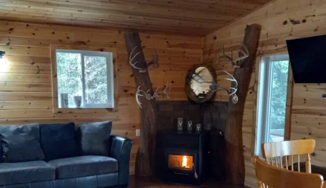 Beautiful All Equiped Eagle Lake View Cottage