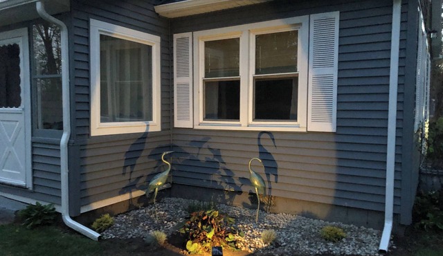 Beautiful all new Blue Heron only a few feet from Oneida Lake