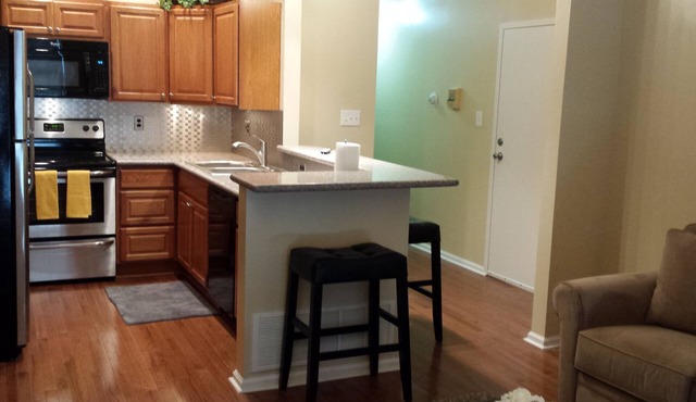 Beautiful Allegheny West Condo-2 Blocks (5 min Walk) to Acrisure Stadium