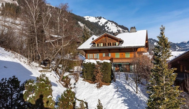 Beautiful Alpine Luxury Flat in Rougemont