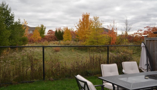Beautiful and Comfortable One Bedroom Basement Apartment