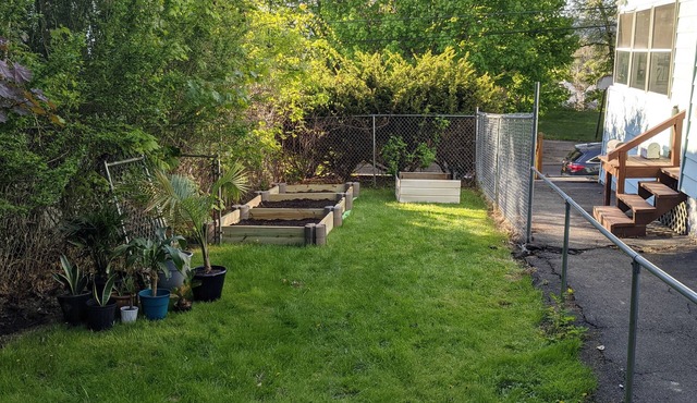 Beautiful and Cozy Home in Binghamton