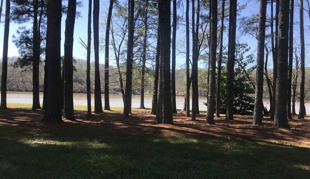 Beautiful and level camping site on Elk River.