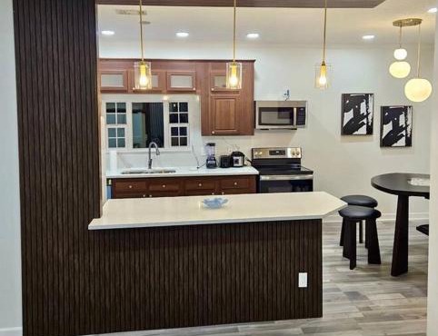 Beautiful And Modern, Valrico Apartment