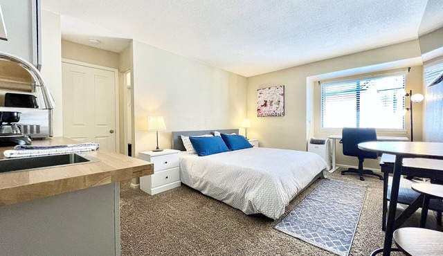 Beautiful And Updated Studio Condo In DTC!