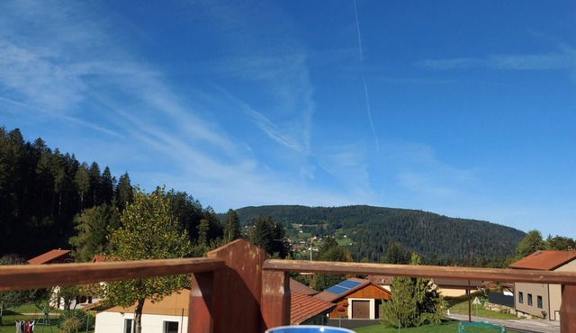 Beautiful apartment in a Vosges farmhouse