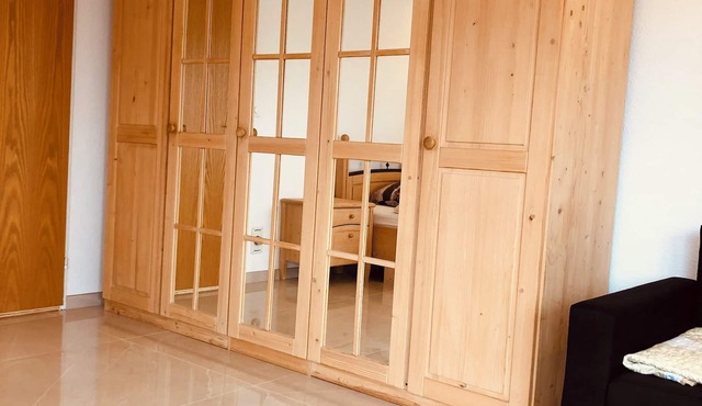 Beautiful apartment with garden seating area in Rapperswil-Jona