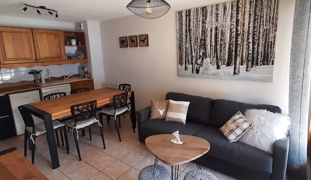 beautiful apartment for 6-8 people, quiet, at the foot of the piste, near buissonnière lake