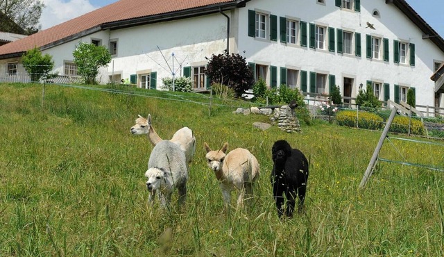 Beautiful apartment for 4 guests with WIFI, balcony, pets allowed and parking