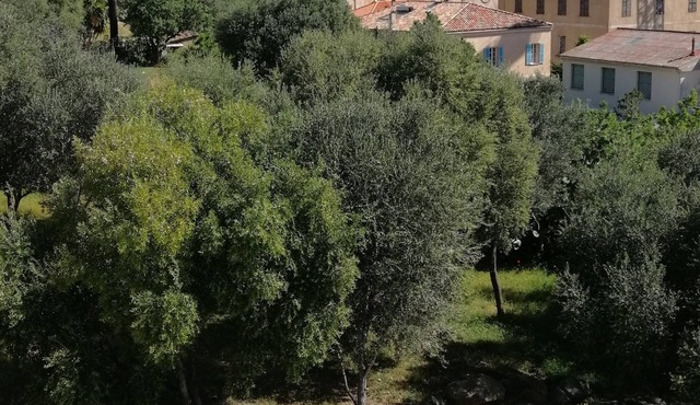 Beautiful apartment with wifi and air conditioning 300m from the beach and 150m from the city center