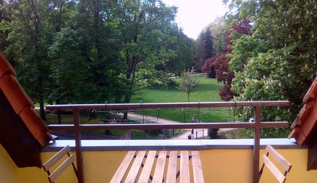 Beautiful * apartment between vineyards and Obernai ramparts