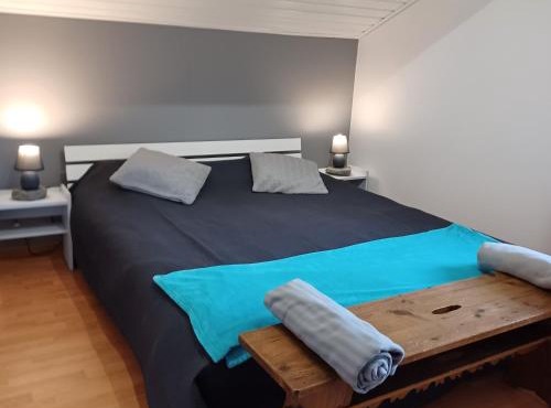 Beautiful apartment duplex in a chalet with garden for 6 in Morillon