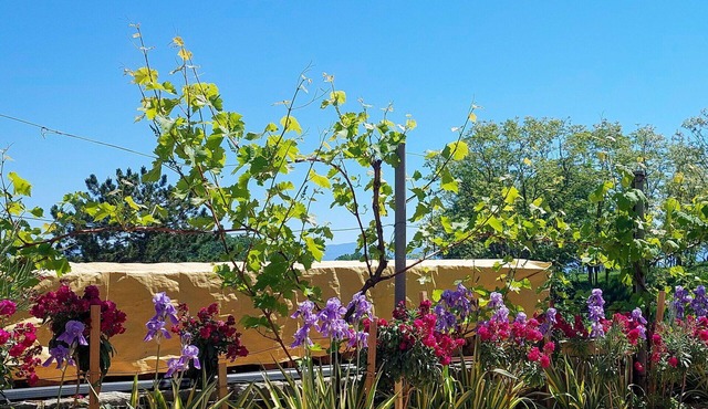 Beautiful apartment for 2 people with A/C, WIFI, TV, patio, pets allowed and panoramic view