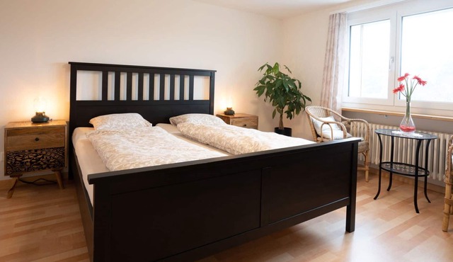 Beautiful apartment for 8 guests with WIFI, A/C, TV, balcony, pets allowed and parking