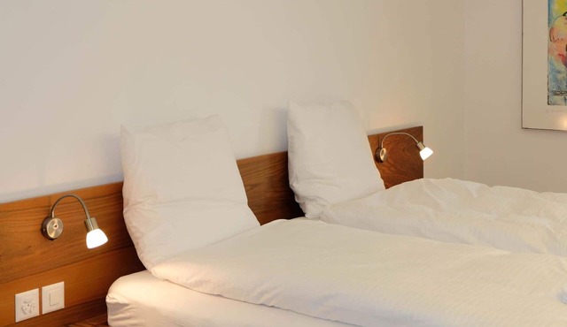 Beautiful apartment for 4 guests with WIFI, TV, balcony and pets allowed