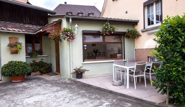 Beautiful apartment in the heart of the Alsace wine route