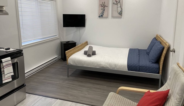 Beautiful Apartment in Hull -5 min from DT Ottawa