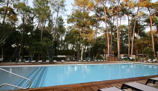 Beautiful apartment in villa for 4 people with A/C, pool, WIFI, TV, terrace and pets allowed