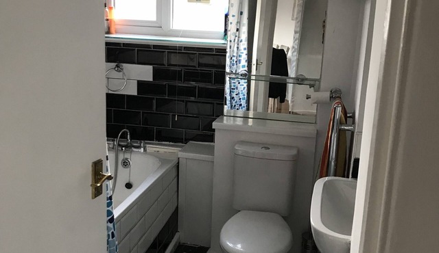 Beautiful Apartment in Brixton