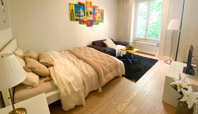 Beautiful apartment in Plainpalais, Geneva