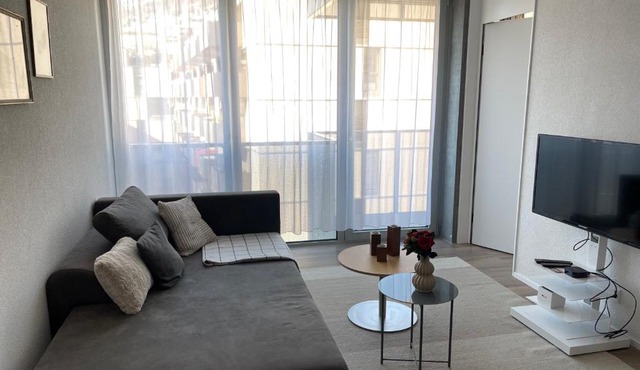 Beautiful apartment in Vevey