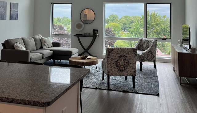 Beautiful apartment located at the center of Wyandotte. Stay at the W Lofts!