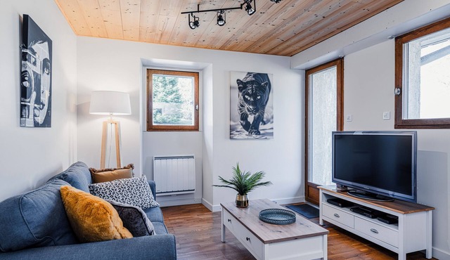 Beautiful apartment near the slopes, comfortable on the resort of Les Rousses.