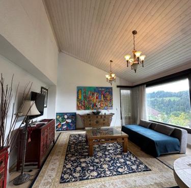 Beautiful apartment near Luzern, view to Rigi,Pilatus Mountain