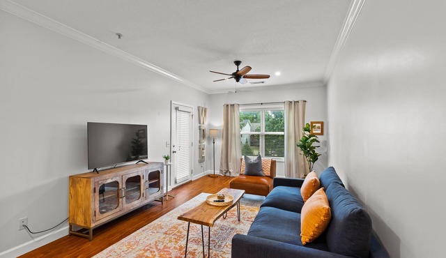 Beautiful Apartment Steps from Downtown Auburn - Pool!