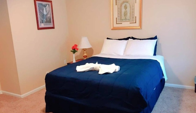 Beautiful Apartment Gem in Historical Downtown Area!